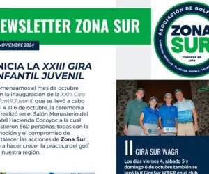 Newsletter Zona Sur : Noviembre 2024